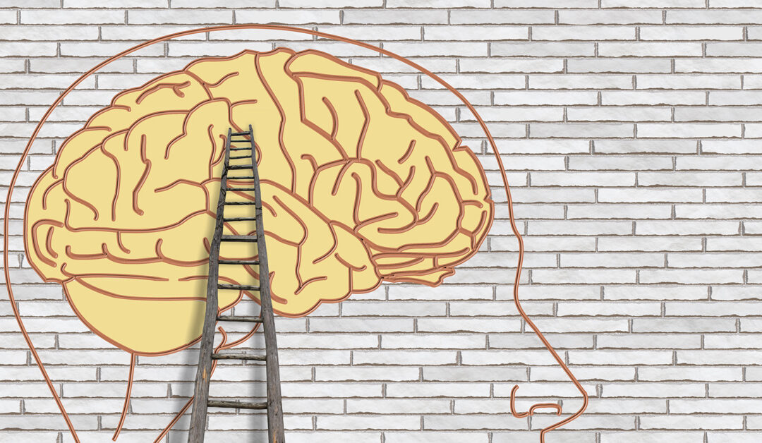 The NADSP E-Badge Academy & Career Ladders