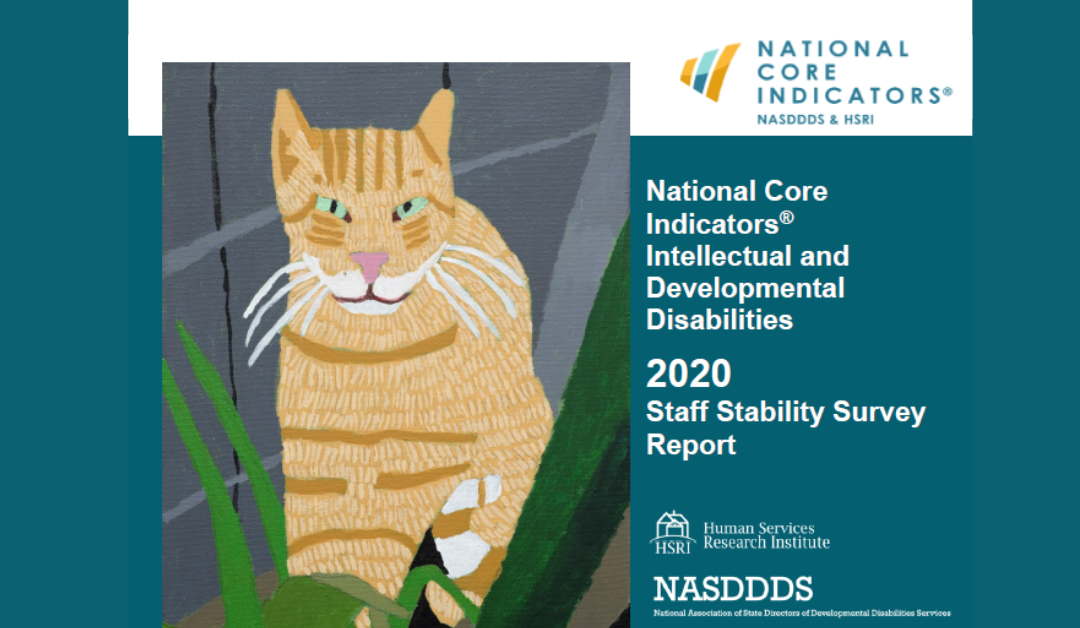 Webinar: Understanding the National Core Indicators®-IDD 2020 Staff Stability Report and COVID-Supplement