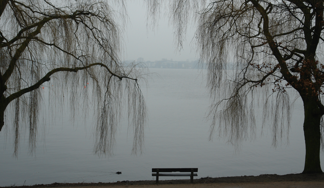 Webinar: Let’s Talk: Supporting People Through the Grieving Process