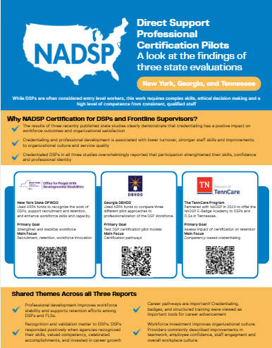 Cover image of the NADSP Code of Ethics Guidebook